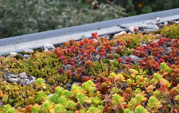 the cost of Parkside green roof installation